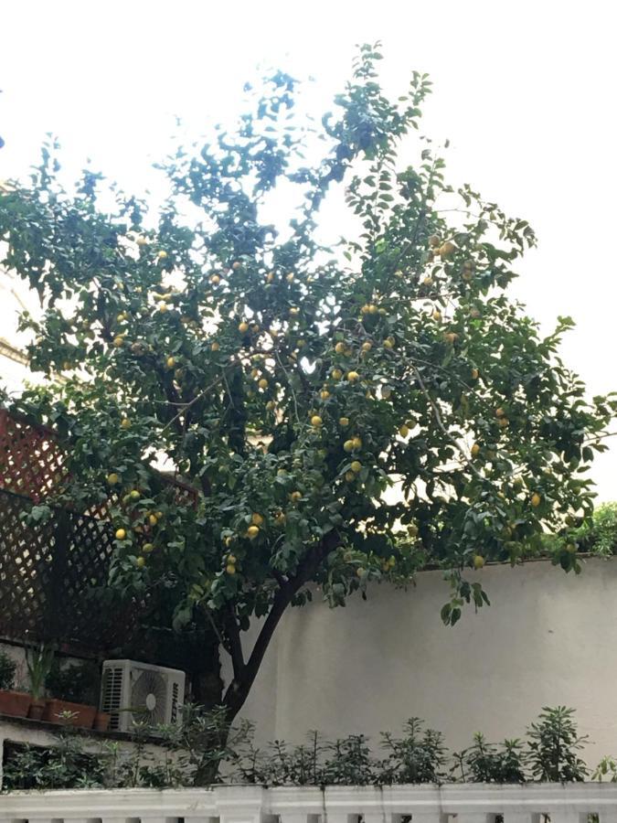 נאפולי St. Joseph Suite מראה חיצוני תמונה